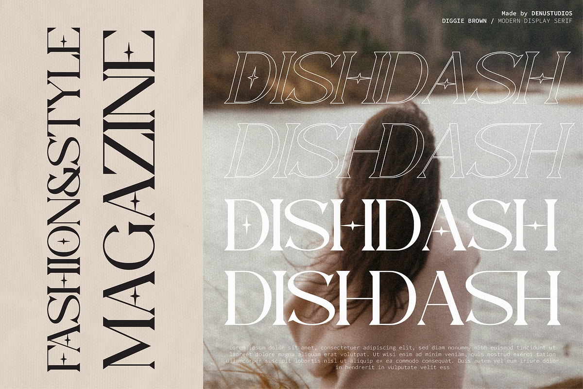 Diggie Brown | Modern Display Serif, a Serif Font by Denustudios (Photo 6 of 12)