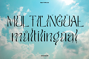 TAN - GRANDEUR, a Sans Serif Font by TanType (Thumbnail 19 of 25)