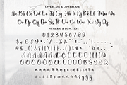 Delightful | Script Font, a Handwritten Font by Scratchones (Thumbnail 7 of 8)