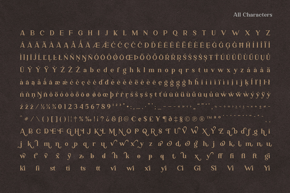 Ambigue Wild Modern x Vintage Serif, a Serif Font by Wandery Supply (Photo 17 of 22)