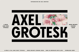 Axel Grotesk - A Sans Serif Typeface