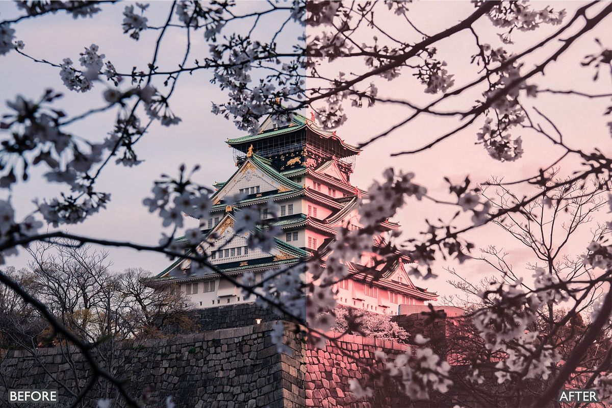 Sakura Rose Gold Lightroom Presets, a Preset Add-On by AAA Presets (Photo 23 of 23)