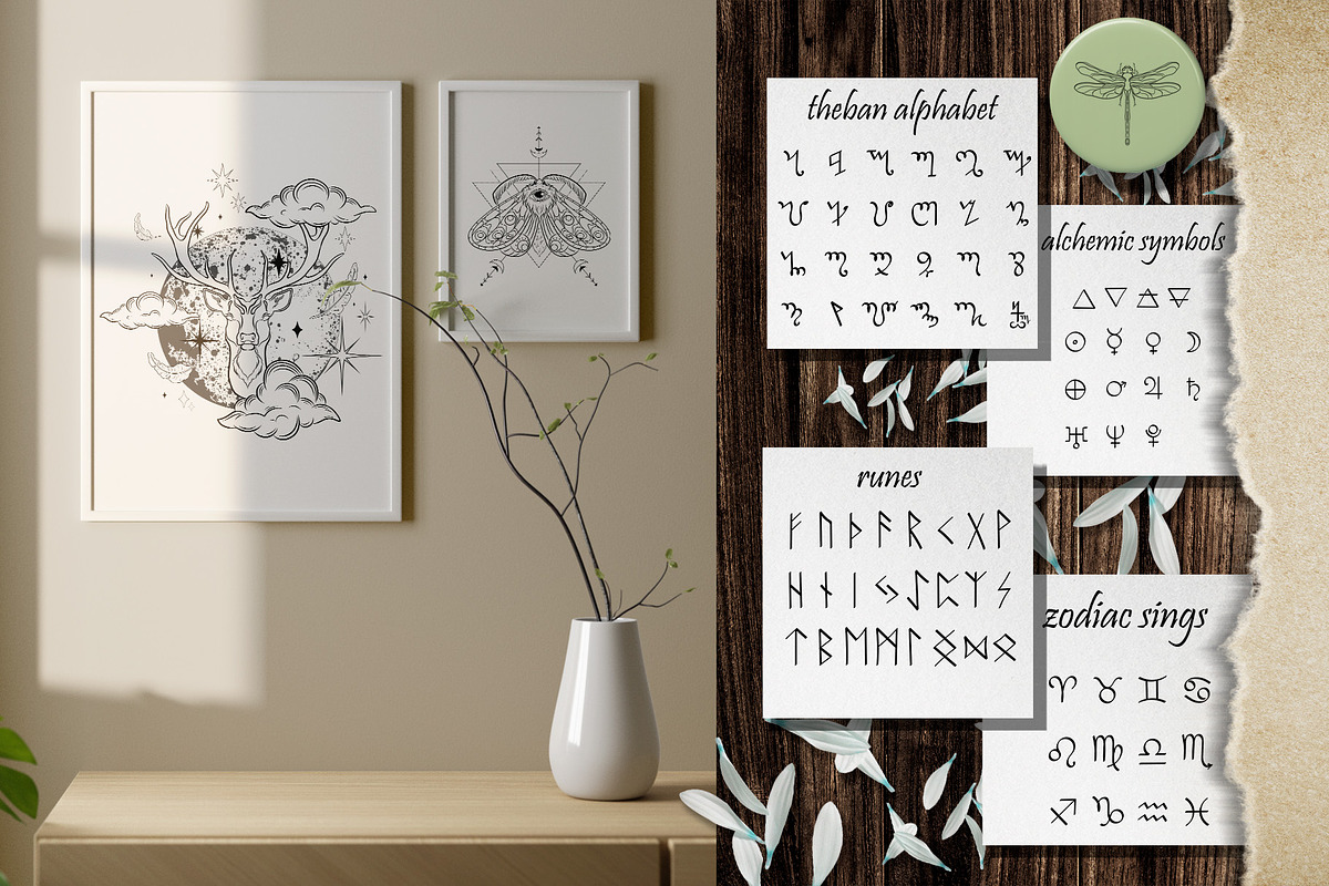 MAGIC collection - Vector ClipArt, an Animal Illustration by Evgenia Pichkur (Photo 7 of 12)