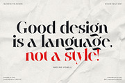 Raving Display Editorial Serif Font, a Serif Font by SilverStag Type Foundry (Thumbnail 28 of 30)