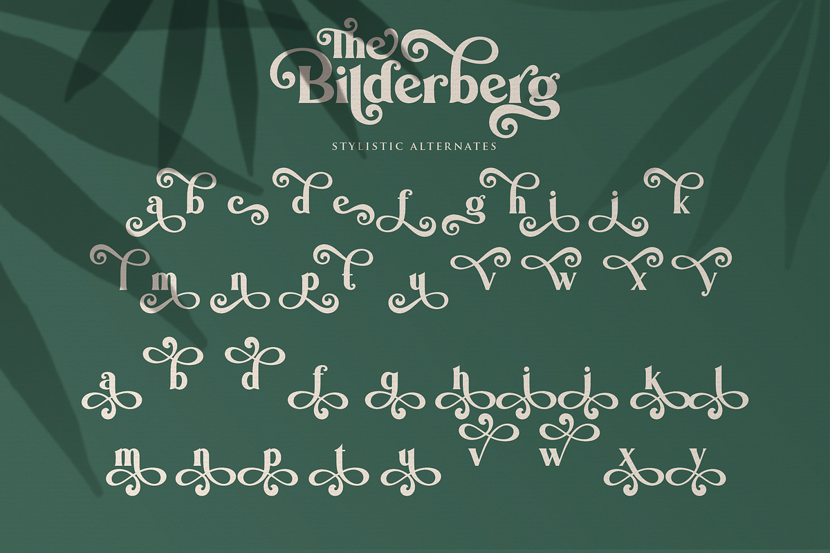 Bilderberg | Luxury Bold Serif, a Serif Font by Almeera Std (Photo 17 of 25)