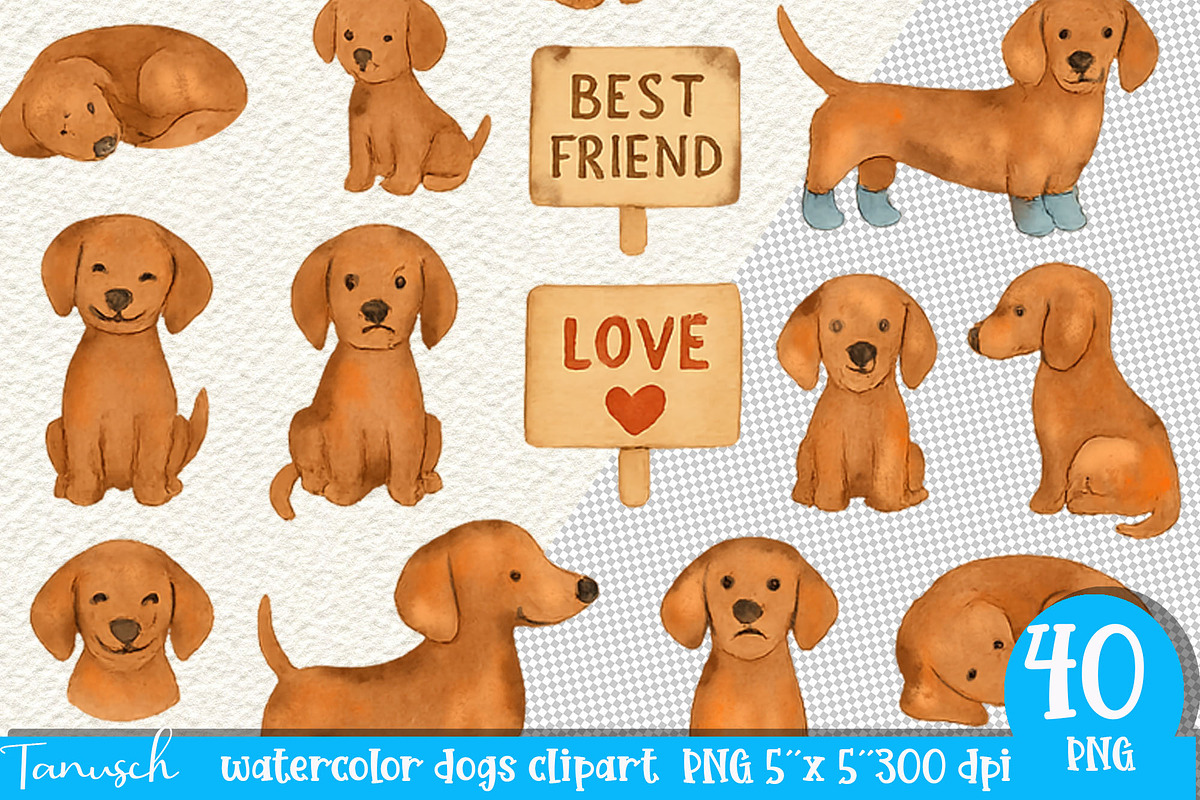 Watercolor Dog - Dachshund CLIPART, an Animal Illustration by TanuschArts (Photo 3 of 6)