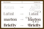 Melgita Benka - Beauty Skincare Font, a Serif Font by Pandeka Studio (Thumbnail 3 of 10)