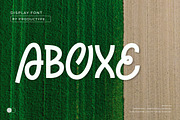 Aboxe - Display Font, a Handwritten Font by productype1 (Thumbnail 1 of 11)