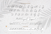 Shallifronthe A Monoline Script, a Script Font by Allouse Studio (Thumbnail 9 of 10)