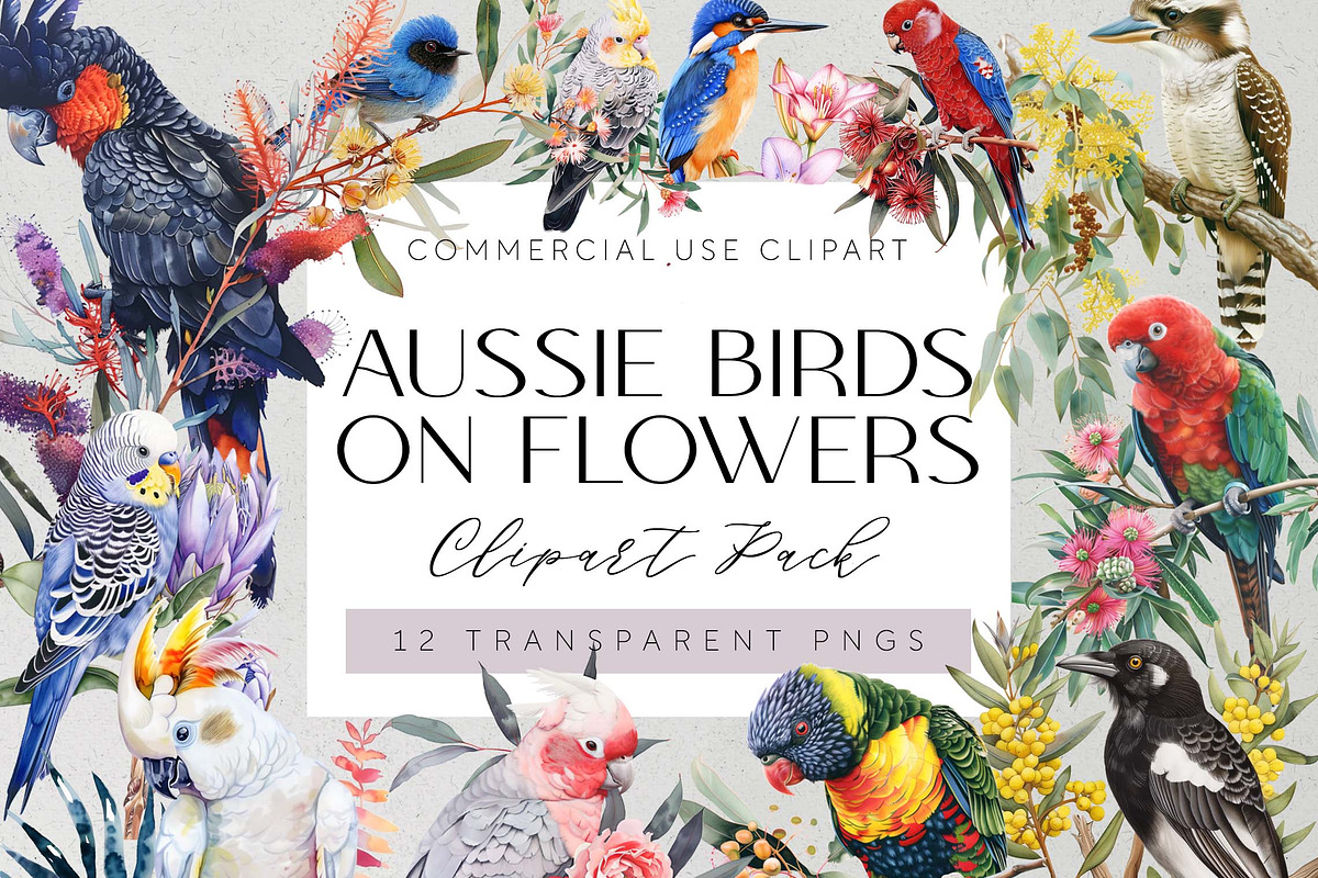 Australian Native Birds Clipart PNG, an Animal Illustration by Pawcasso's Portraits (Photo 1 of 7)