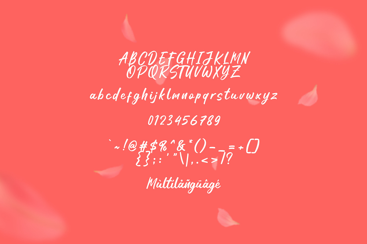 Windyear, a Script Font by khurasan (Photo 5 of 5)