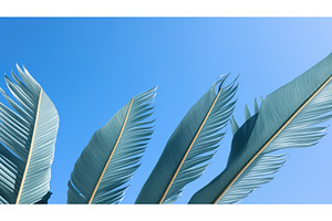 calming tropical leaf wallpaper ai, a Background Photo by pikepicture