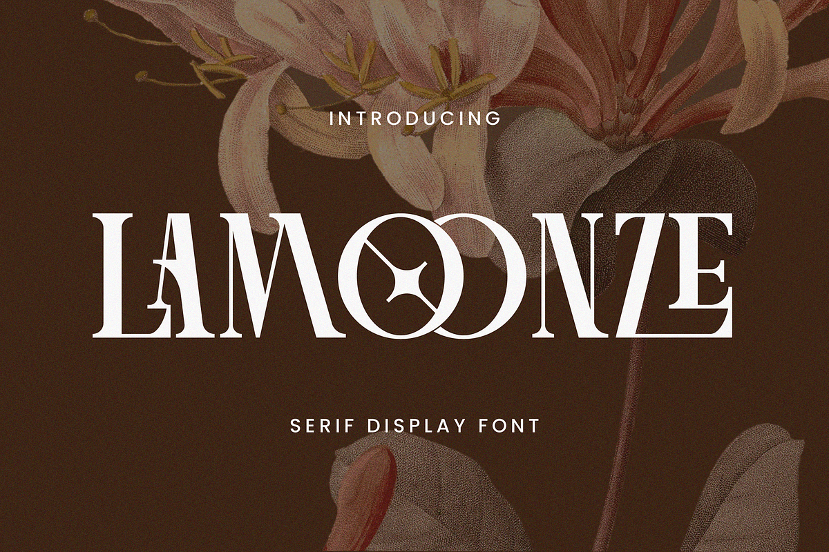 Lamoonze - Serif Display Font, a Serif Font by Randi Irvan | Rvandtype (Photo 1 of 14)