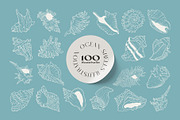 Ocean Shells Illustration, an Object Illustration by KetteCreate (Thumbnail 12 of 17)