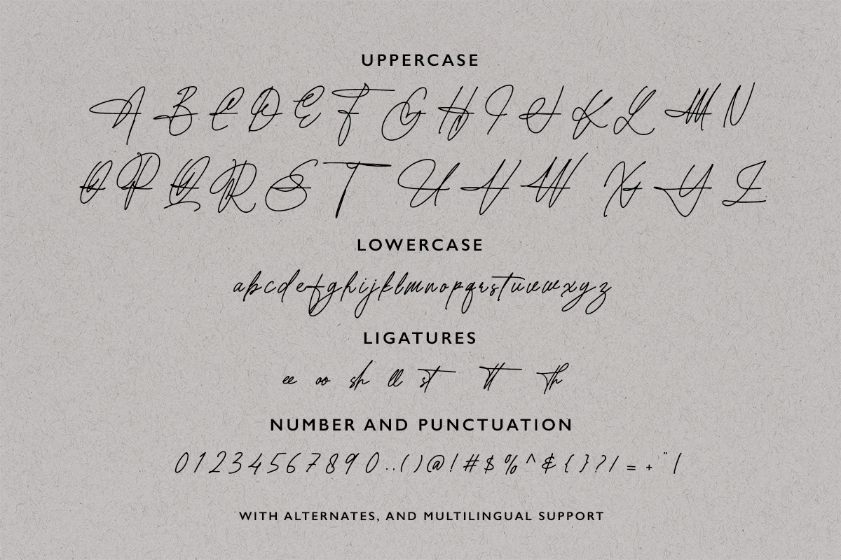 Authorman - Stylish Signature Script, a Script Font by Bale Type (Photo 10 of 11)