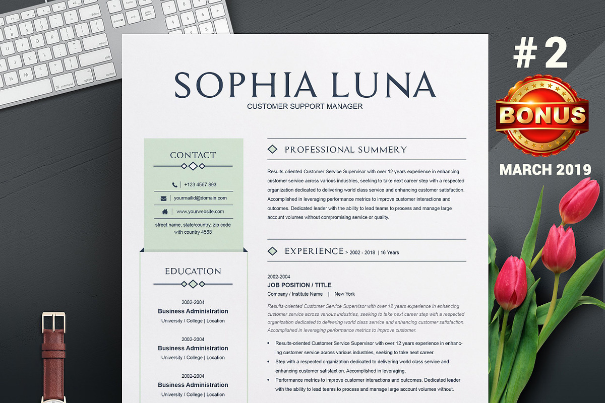 Resume/CV Bundle | 200+ for $29, a Resume Template by ResumeInventor (Photo 43 of 207)