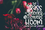 Garden Berries Handwritten Font, a Serif Font by Sabrina Schleiger Design (Thumbnail 6 of 6)