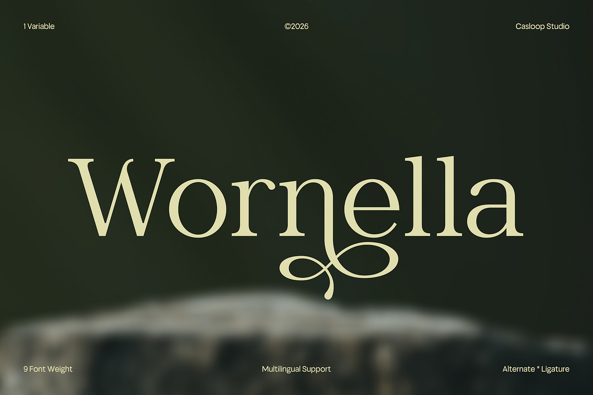 Wornella – Luxury Modern Serif, a Serif Font by Casloop Studio (Photo 1 of 10)