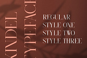 Kindel - Completed Collection, a Serif Font by VP Fonts (Thumbnail 3 of 44)