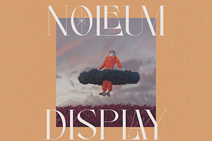 Noleum - Display Serif