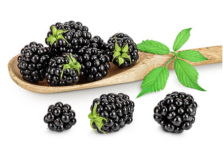 blackberry with leaf in wooden spoon, a Food & Drink Photo by NataPhoto