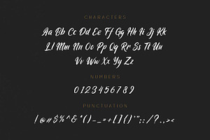 Ringtrack - Rough Brush Fonts