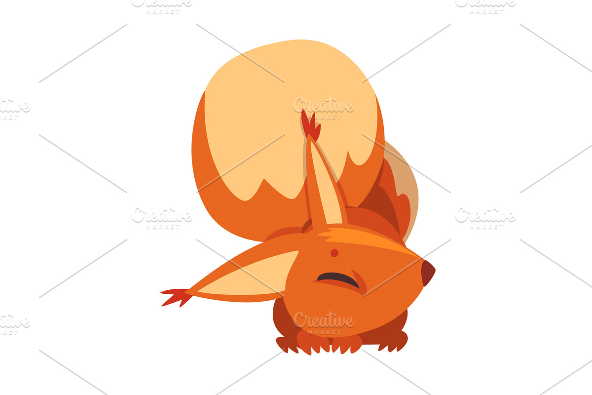 Sleeping Squirrel, Cute Funny, an Animal Illustration by TopVectors