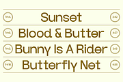 Andree Grotesk Regular, a Sans Serif Font by Nguyen Type (Thumbnail 3 of 9)