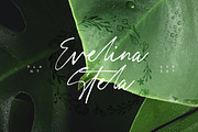 Lisbeth Script, a Script Font by vuuuds (Thumbnail 2 of 7)