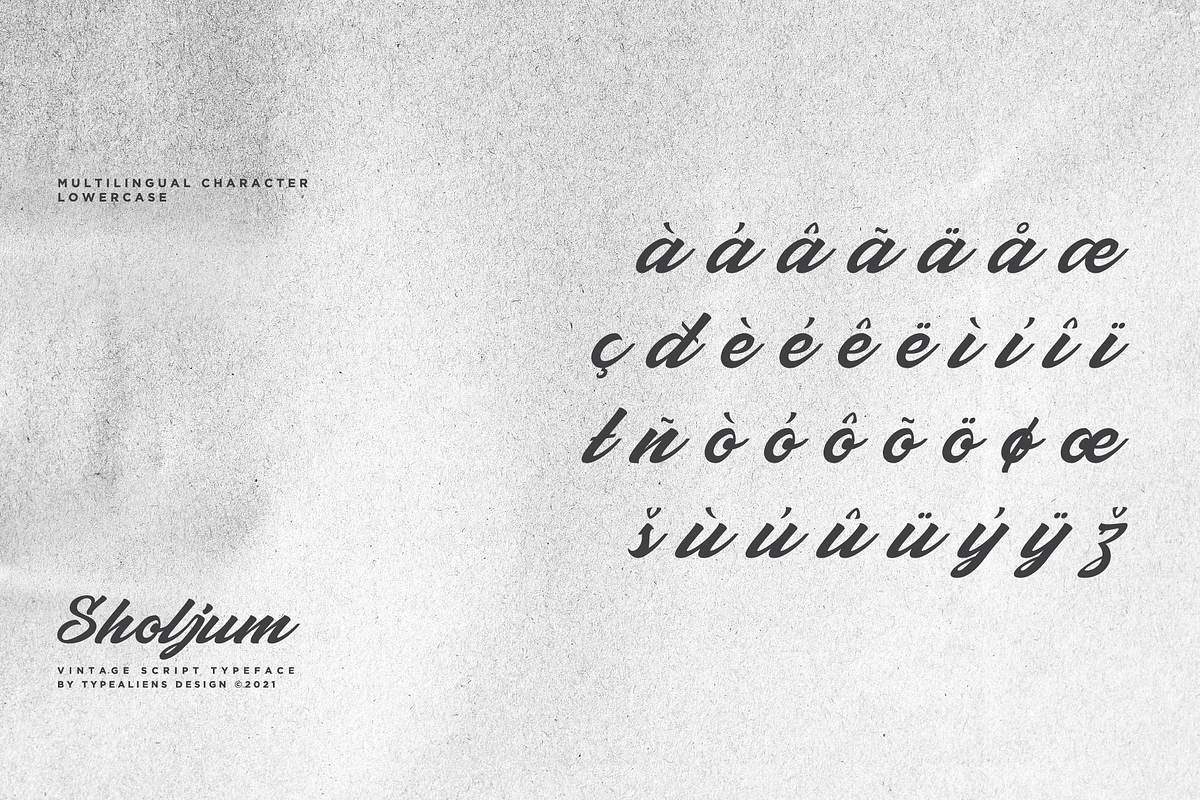 Sholjum, a Script Font by ilhamtaro (Photo 11 of 11)