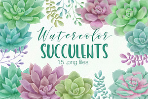 Watercolor Succulent Illustrations