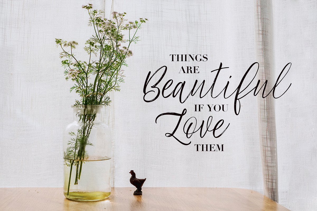 Frideswide Script, a Script Font by Asya Mix (Photo 11 of 13)