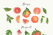 Mediterranean Summer Dolce Vita, a Decorative Illustration by Catch the Dream Art (Thumbnail 24 of 25)