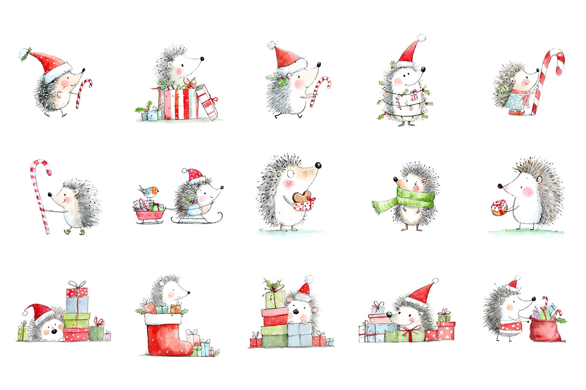 Christmas Hedgehog Clipart, a Seasonal Illustration by Nicolle's Colorful Art (Photo 4 of 7)