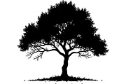Silhouette Tree Vector Clipart Pack, an Object Graphic by jahid234 (Thumbnail 4 of 10)