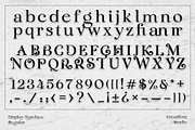 CF Winterberry - Christmas Serif, a Serif Font by Indotype Foundry (Thumbnail 3 of 10)