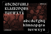 Karis Blackletter - Logo Font, a Blackletter Font by Nirmana Visual (Thumbnail 8 of 14)