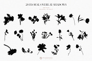 Floral Shadows Overlays, a Graphic by Youandigraphics (Thumbnail 11 of 14)