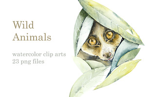 Watercolor Wild Animals