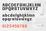 Gegant Font, a Sans Serif Font by Megatype (Thumbnail 15 of 15)
