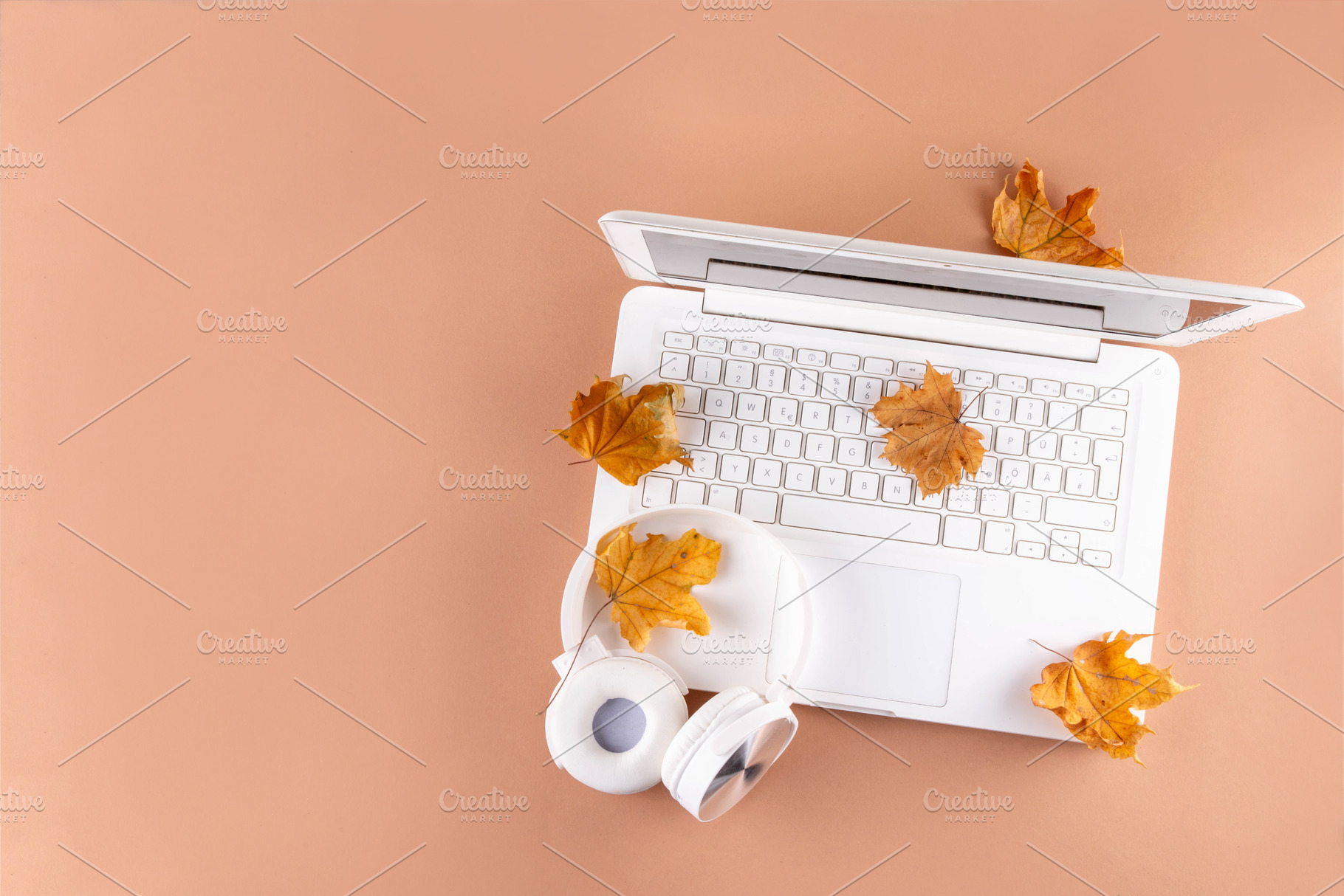 Cozy autumn background with laptop, fall leaves and plaid, a Holiday Photo by Rimma