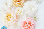 Instagram Styled Stock Square Photos, a Social Media Template by LaPorte Images (Thumbnail 17 of 19)