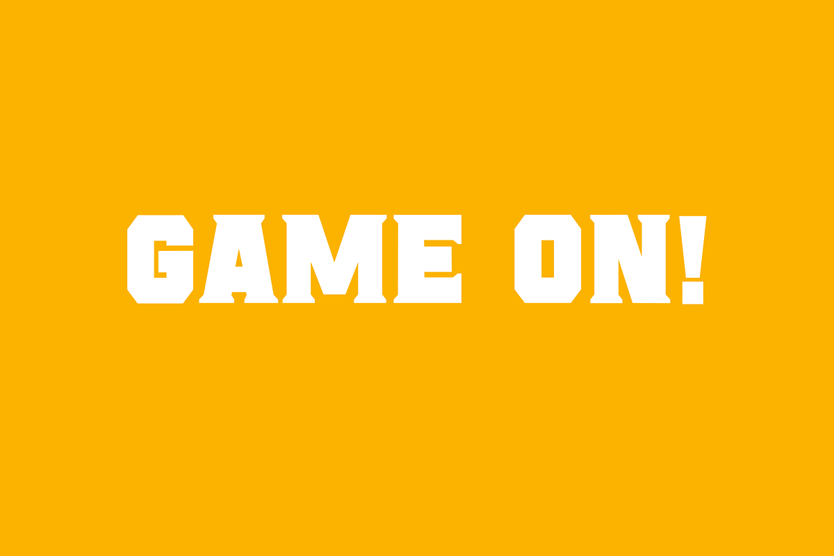 Came, a Serif Font by Sofia Skoog (Photo 8 of 8)