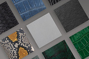 Wild animals skin patterns, a Texture Graphic by Elijah (Thumbnail 4 of 10)