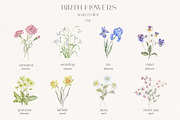 Birth-Flowers. Watercolor & Line Art, a Decorative Illustration by Designwork (Thumbnail 2 of 14)