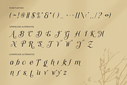 Grache Hustle - Aesthetic Serif, a Serif Font by Font Liner (Thumbnail 11 of 12)