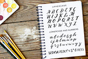 Phaeton, a Script Font by Larin Type Co. (Thumbnail 5 of 5)