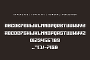 Race Nosmax, a Serif Font by alon kelakon (Thumbnail 4 of 5)