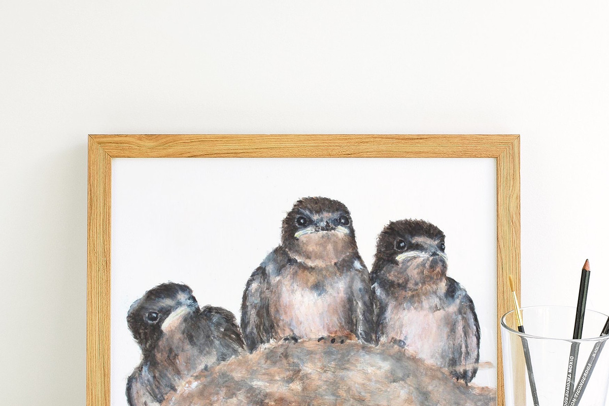 Fledgling Baby Birds Illustrations, an Animal Illustration by Joy ...