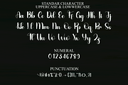 Thick, a Script Font by FreshTypeINK (Thumbnail 8 of 8)